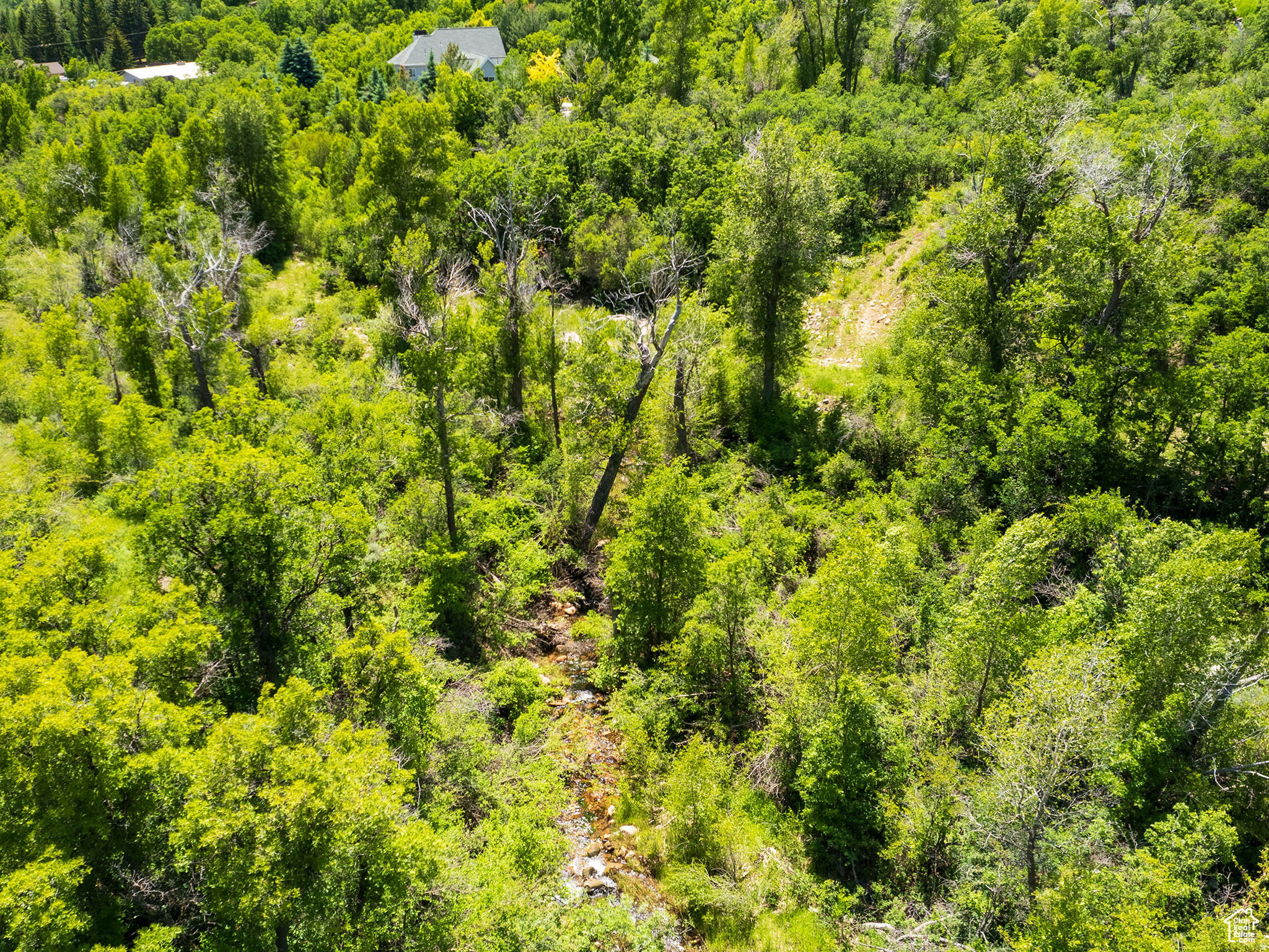 Wooded hillside property featuring a natural creek bed