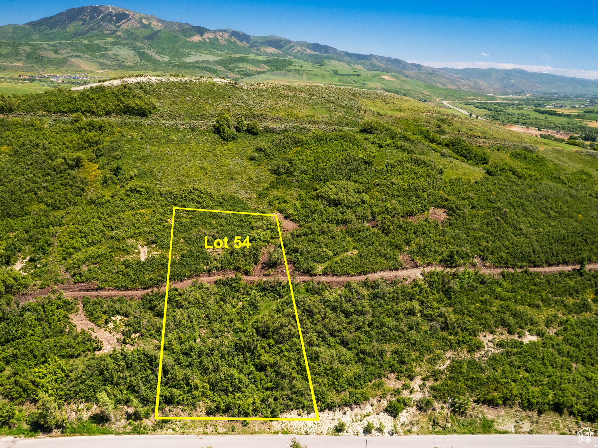 Expansive land parcel "Lot 54" outlined in yellow, featuring varied green foliage and a natural grade