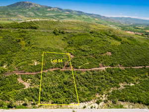 Expansive land parcel "Lot 54" outlined in yellow, featuring varied green foliage and a natural grade