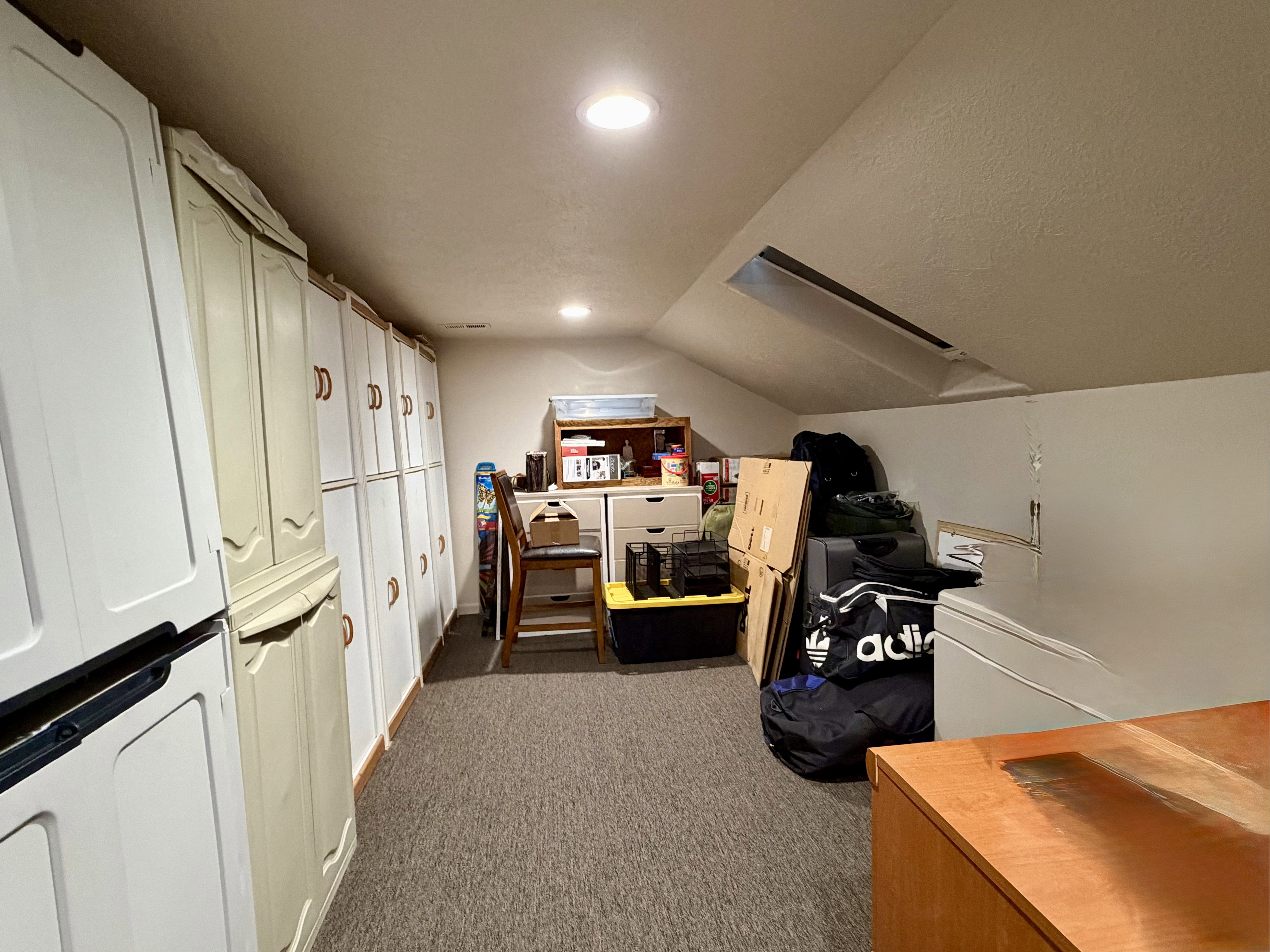 Carpeted attic storage space featuring sloped ceilings, recessed lighting, and a skylight