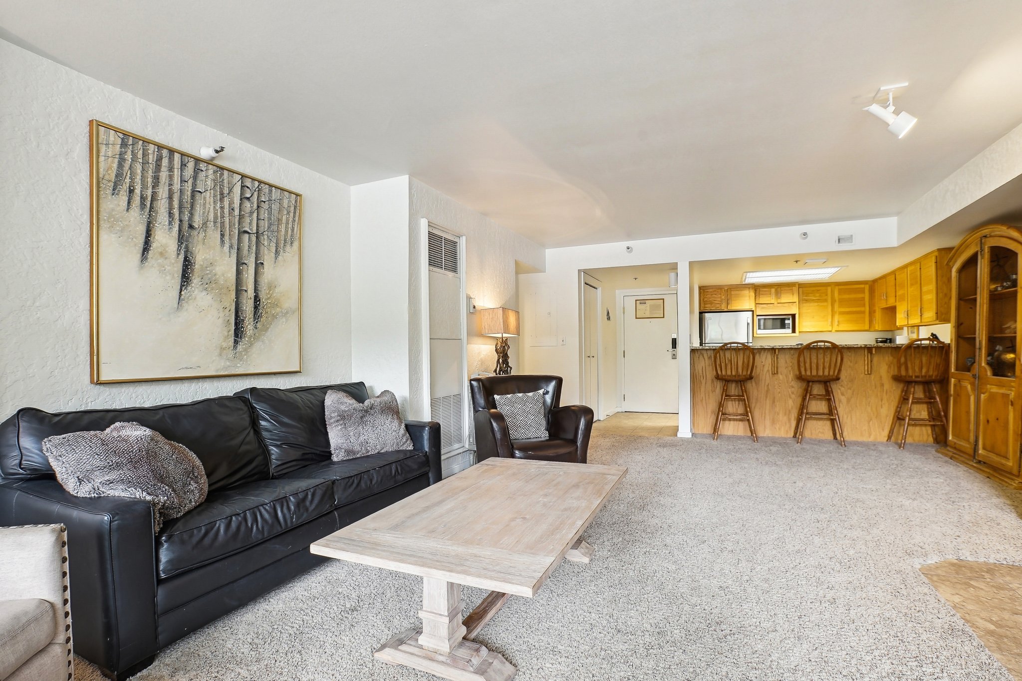 Open-concept living area featuring light-toned carpeting, a kitchen pass-through with bar seating, integrated wooden cabinetry, and track lighting
