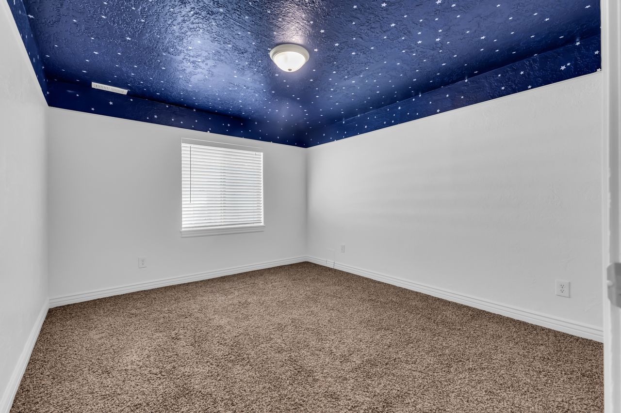 Room featuring a unique blue ceiling with star-like patterns, textured wall surfaces, and light brown carpeting