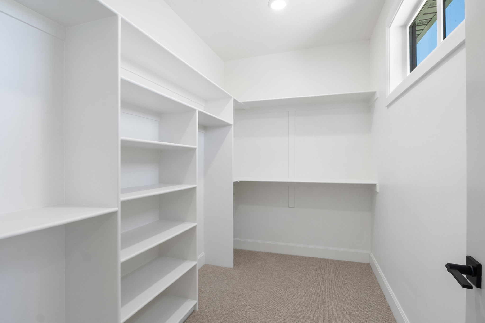 Walk-in closet featuring built-in shelving, hanging rods, recessed lighting, a high-set window, and neutral carpeting