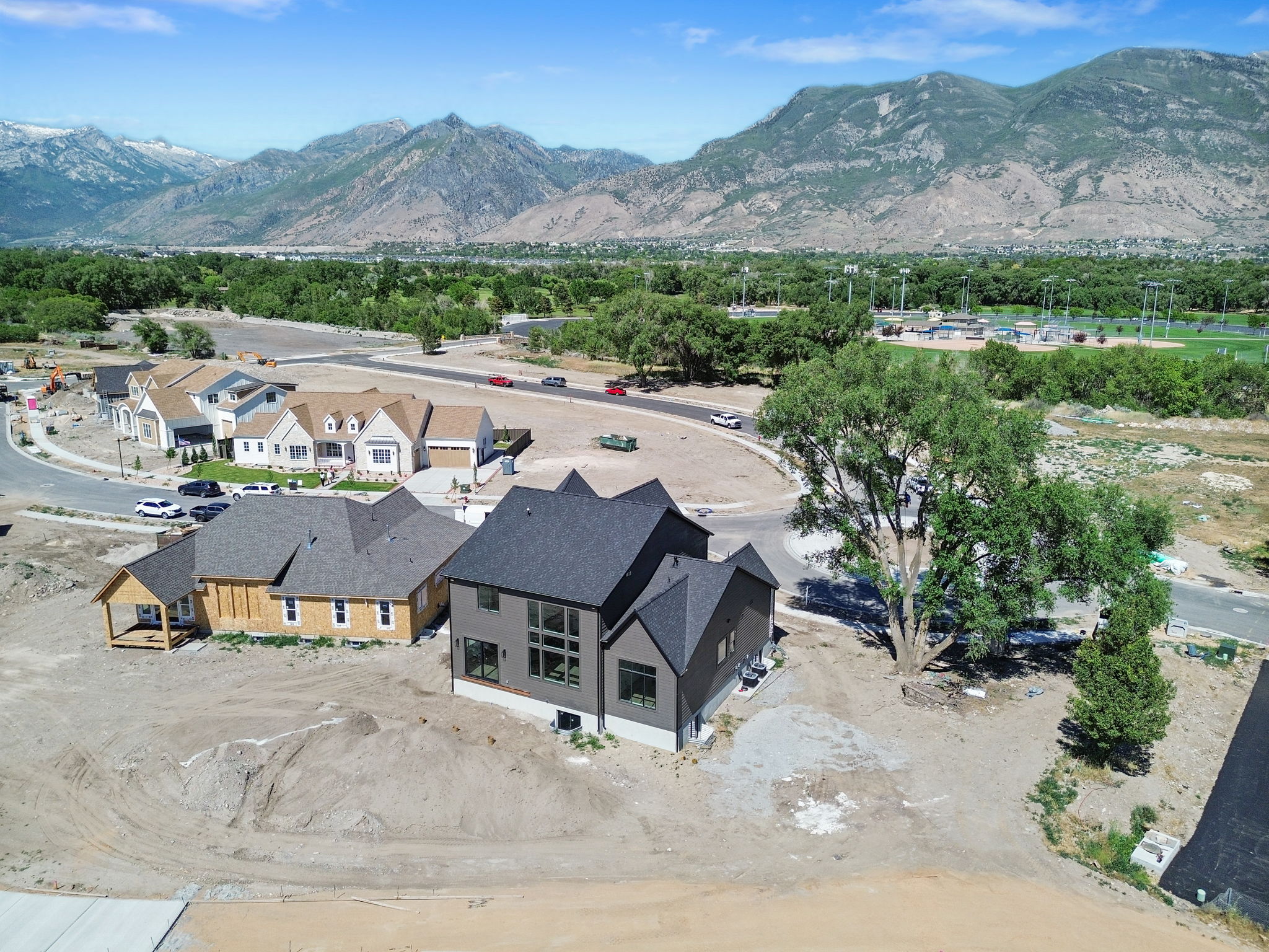 Contemporary style residence with dark-toned siding and multiple large windows, situated on a lot with a mature tree