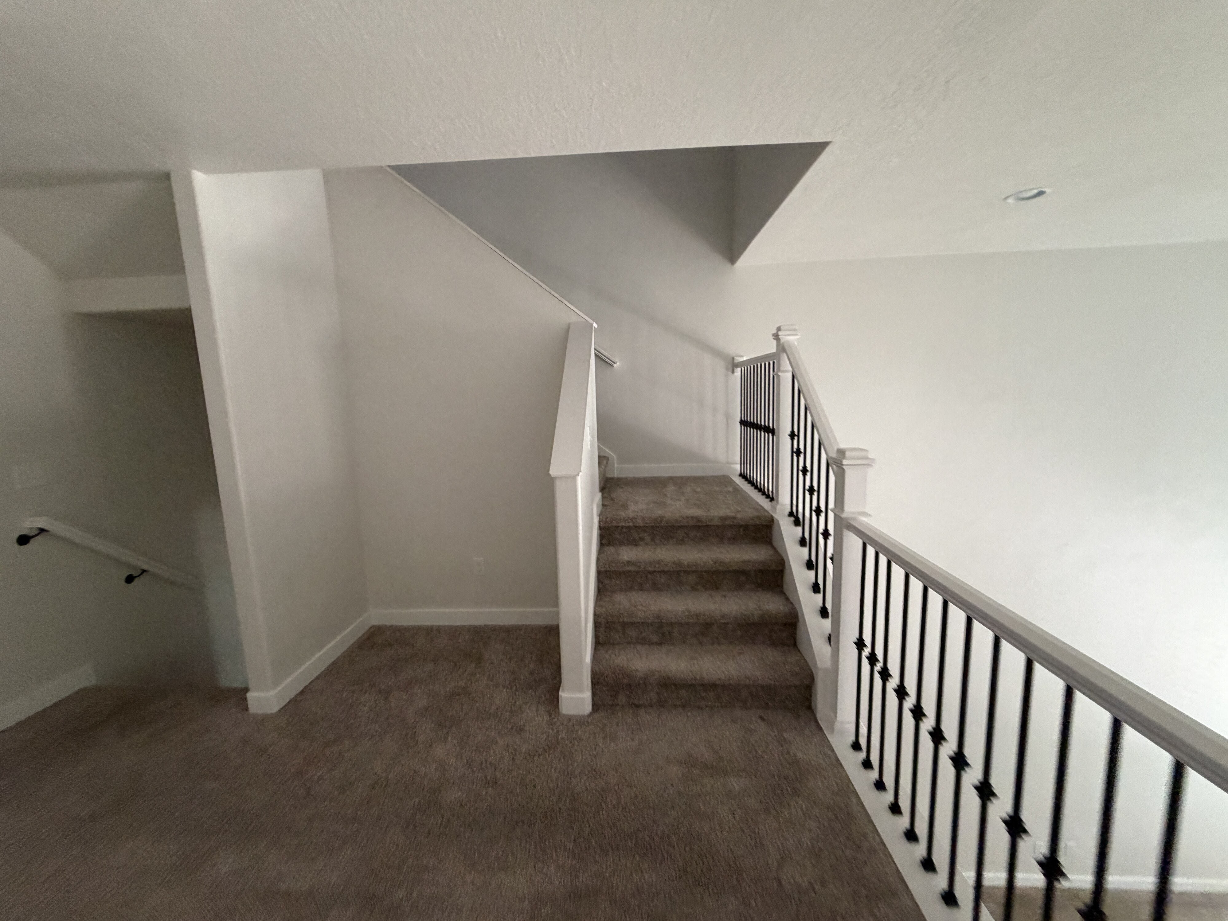 Carpeted staircase featuring white balusters and black iron spindles