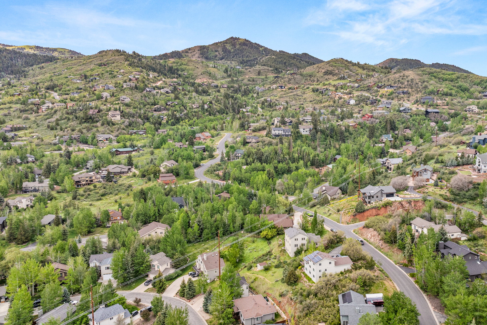 Mountainous terrain featuring winding roads and abundant mature trees