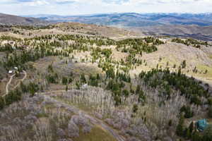 Drone / aerial view of mountains