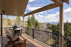 Deck with a grill