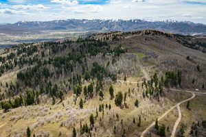 View of mountain background with a forest