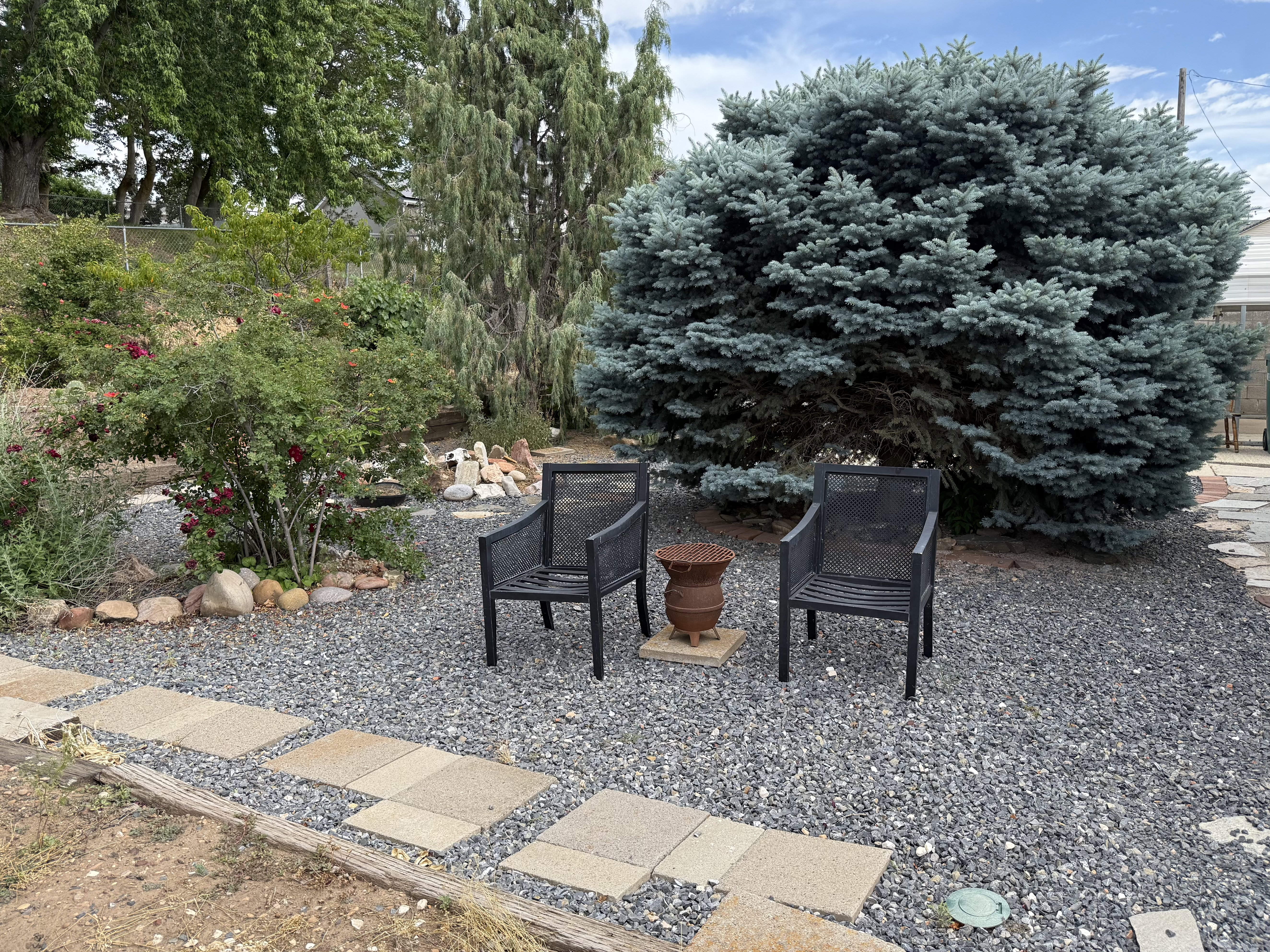 Hardscaped yard featuring a mature evergreen and established shrubs