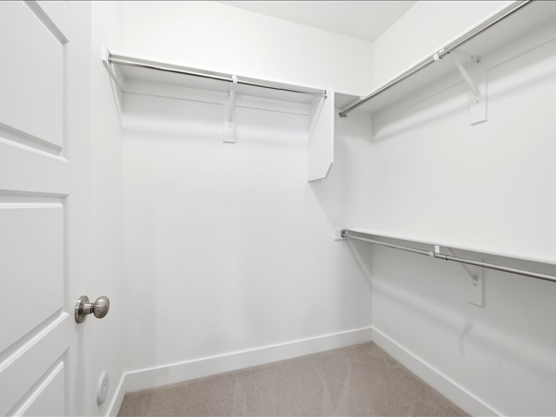 Walk-in closet with white walls, baseboards, and carpeted flooring