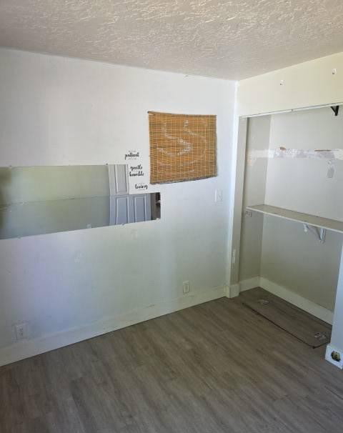 Room featuring wood-finish flooring, white baseboards, and a built-in closet with shelving