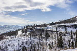 Snow-covered mountain landscape featuring multiple properties, dense evergreen and deciduous trees, and a distant body of water
