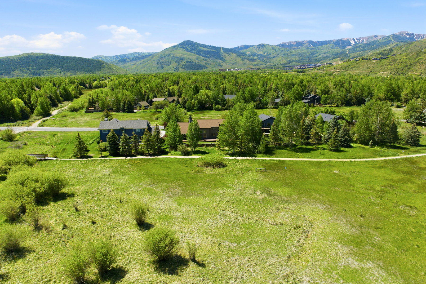 Expansive green landscape with distant mountains
