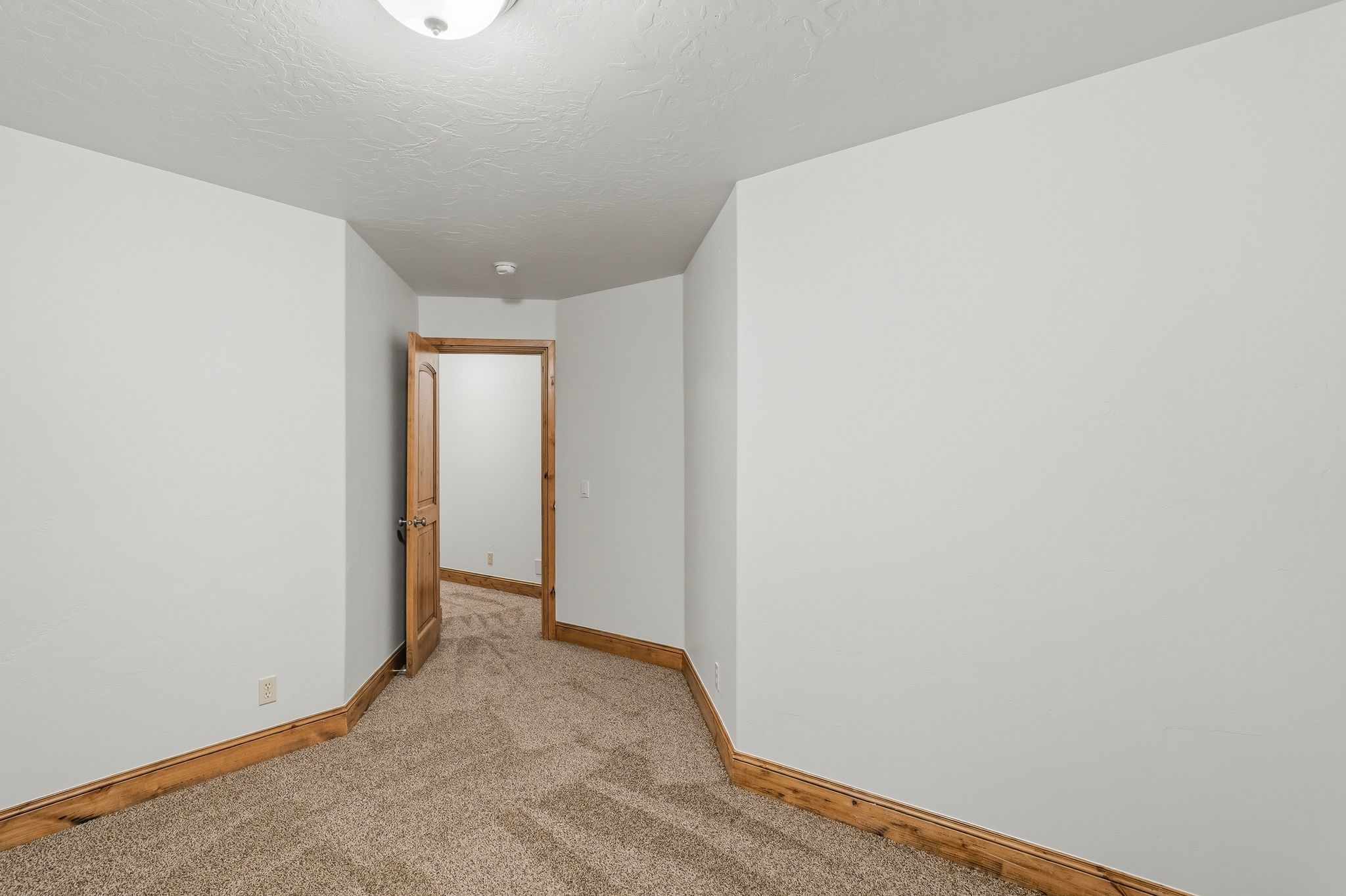 Neutral-toned carpeting paired with white walls, wood-finish baseboards, and a wood-finish door with matching trim