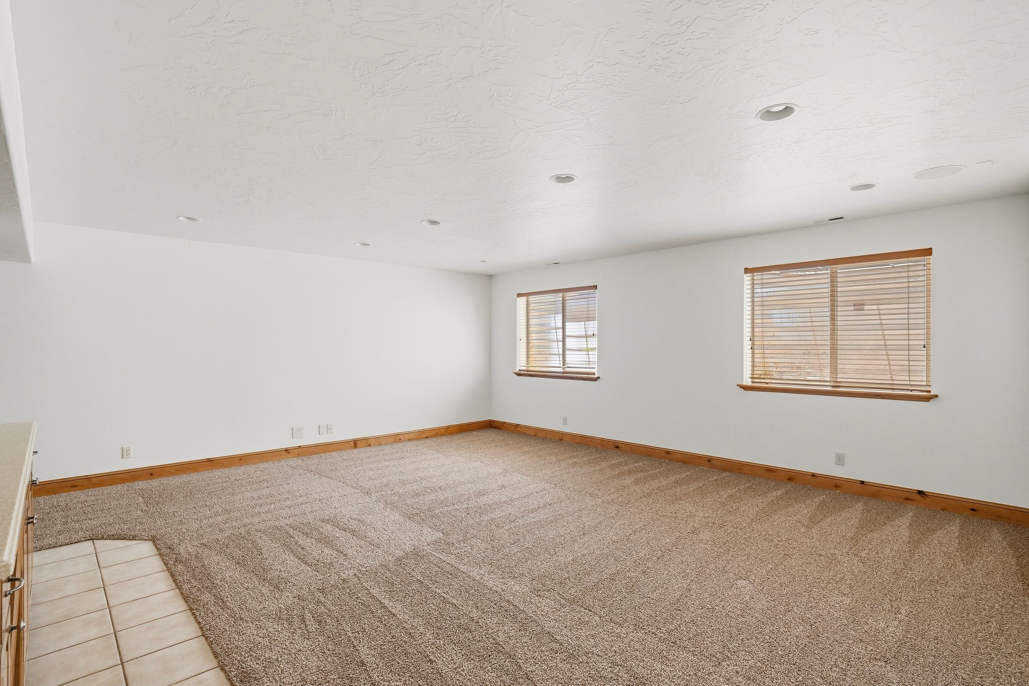 Spacious room with plush carpet flooring and two windows with wood-finish blinds