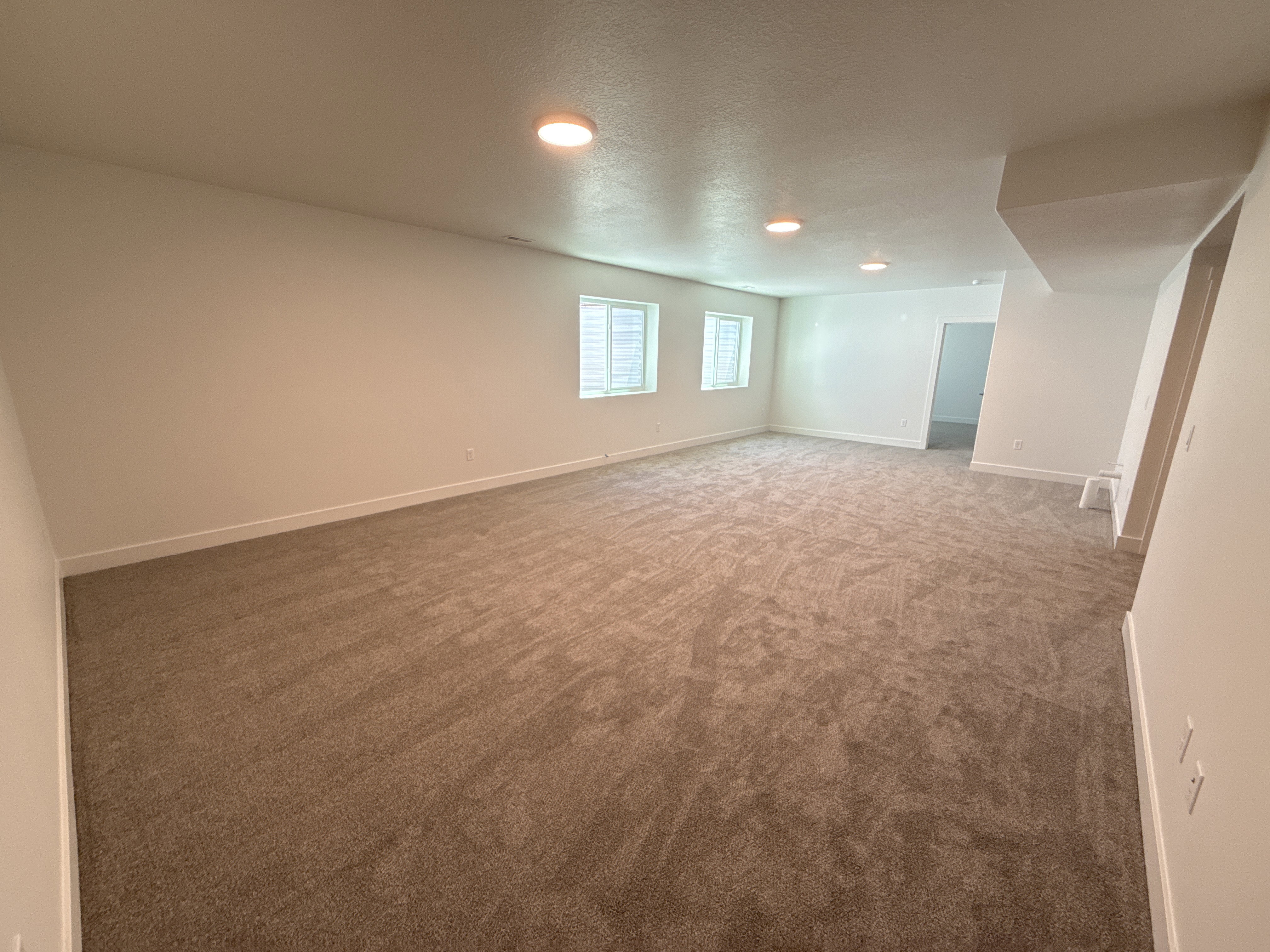 Spacious room featuring neutral carpeting, recessed ceiling lighting, and two windows with blinds