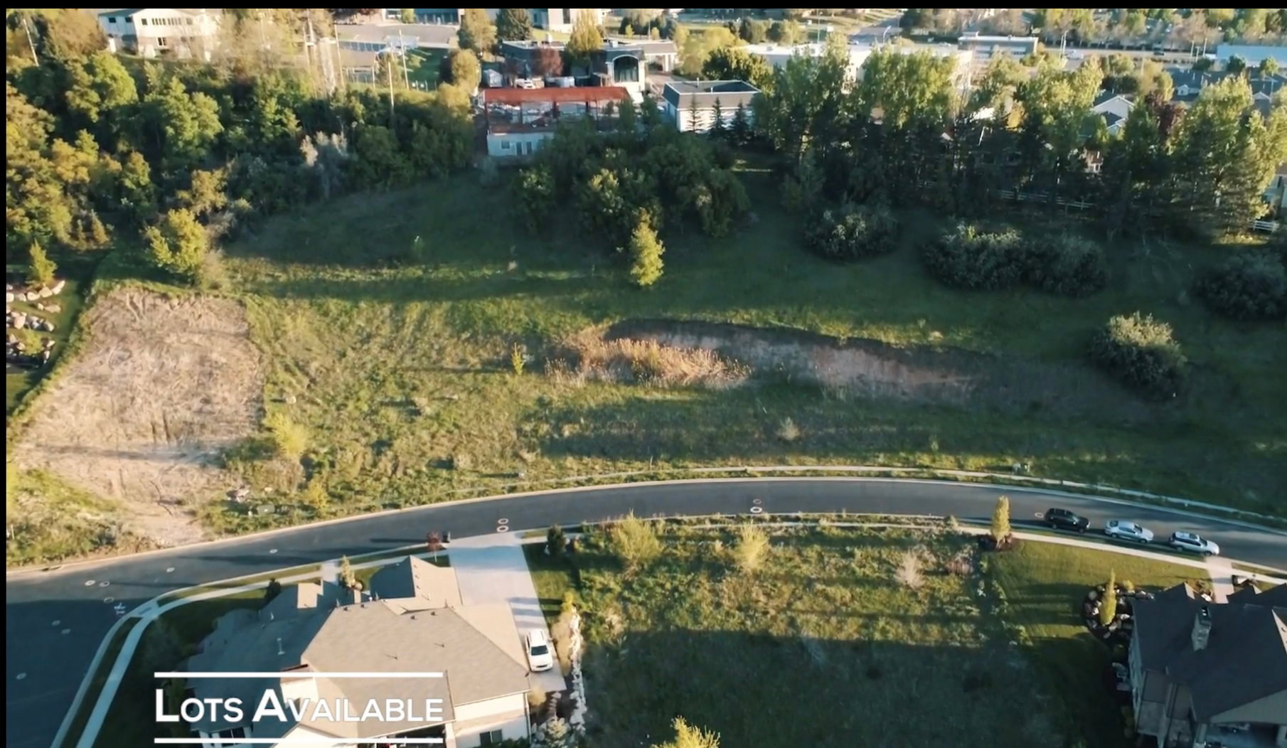 Expansive undeveloped land parcels featuring a paved street frontage