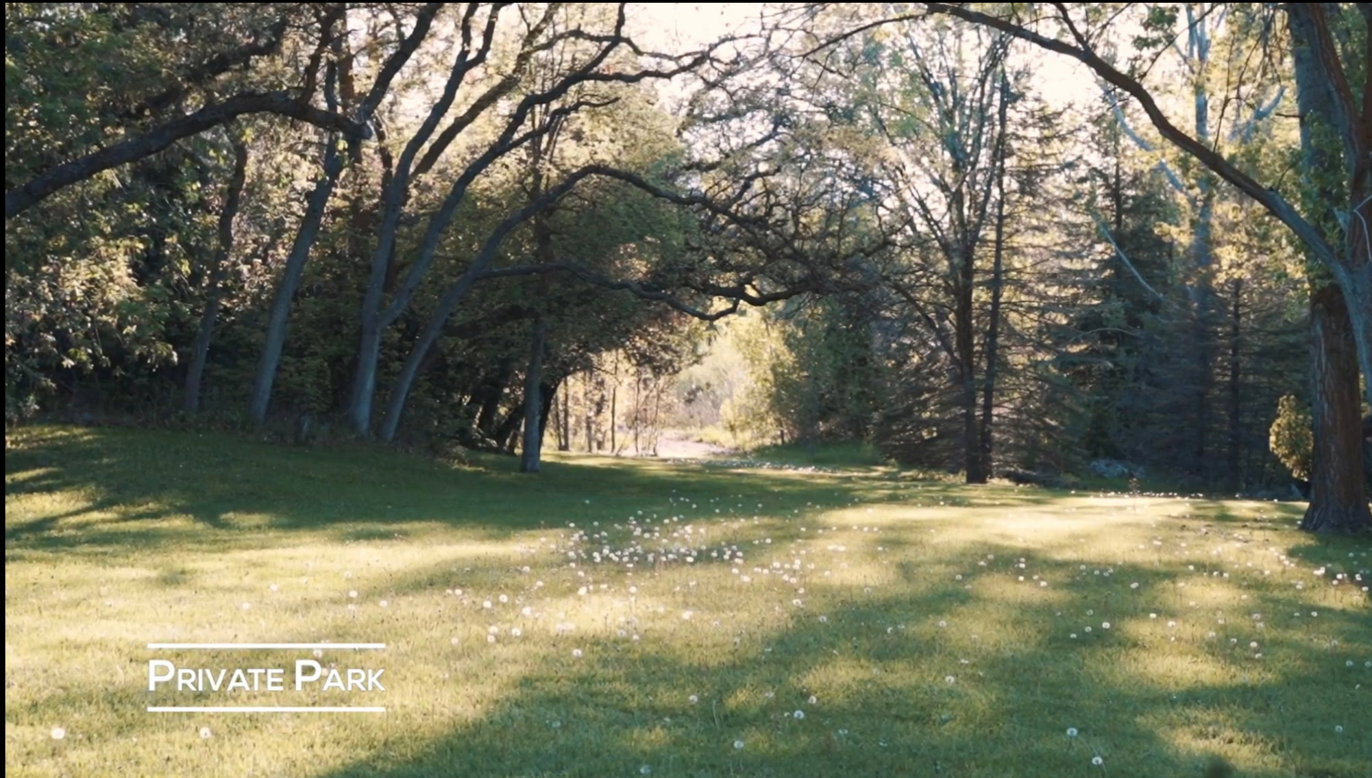 Expansive grassy area surrounded by mature trees, featuring dappled sunlight