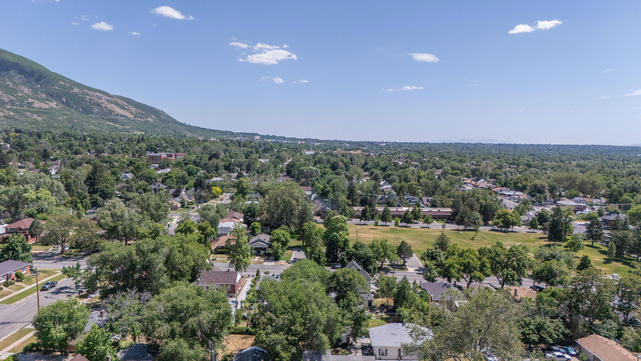 Expansive neighborhood featuring mature tree canopy, residential architecture, and a prominent mountain backdrop