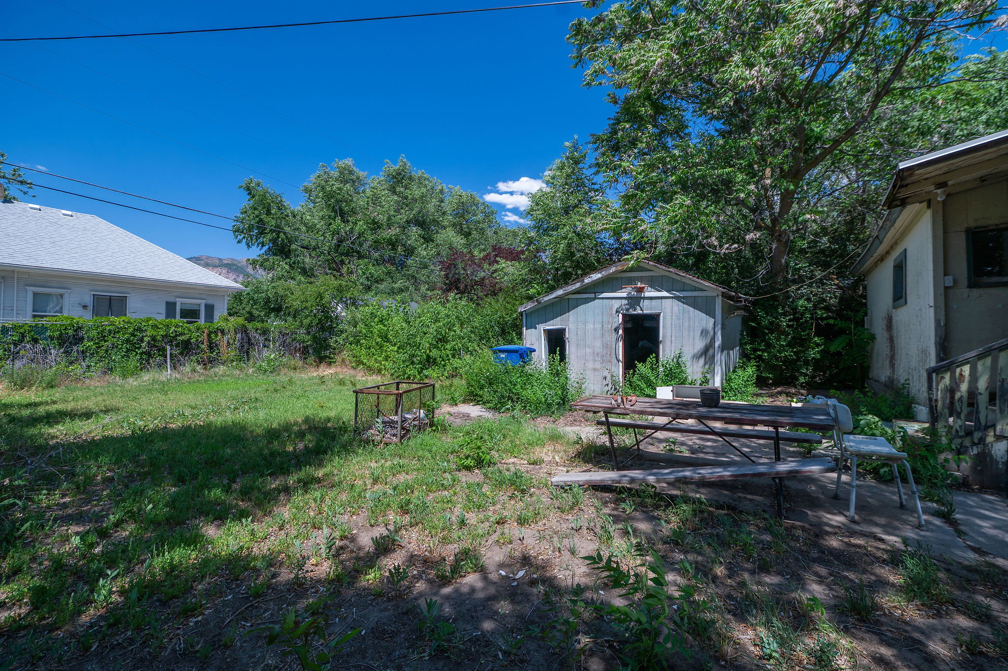 Expansive backyard featuring a detached shed structure, mature trees, and existing concrete patio space