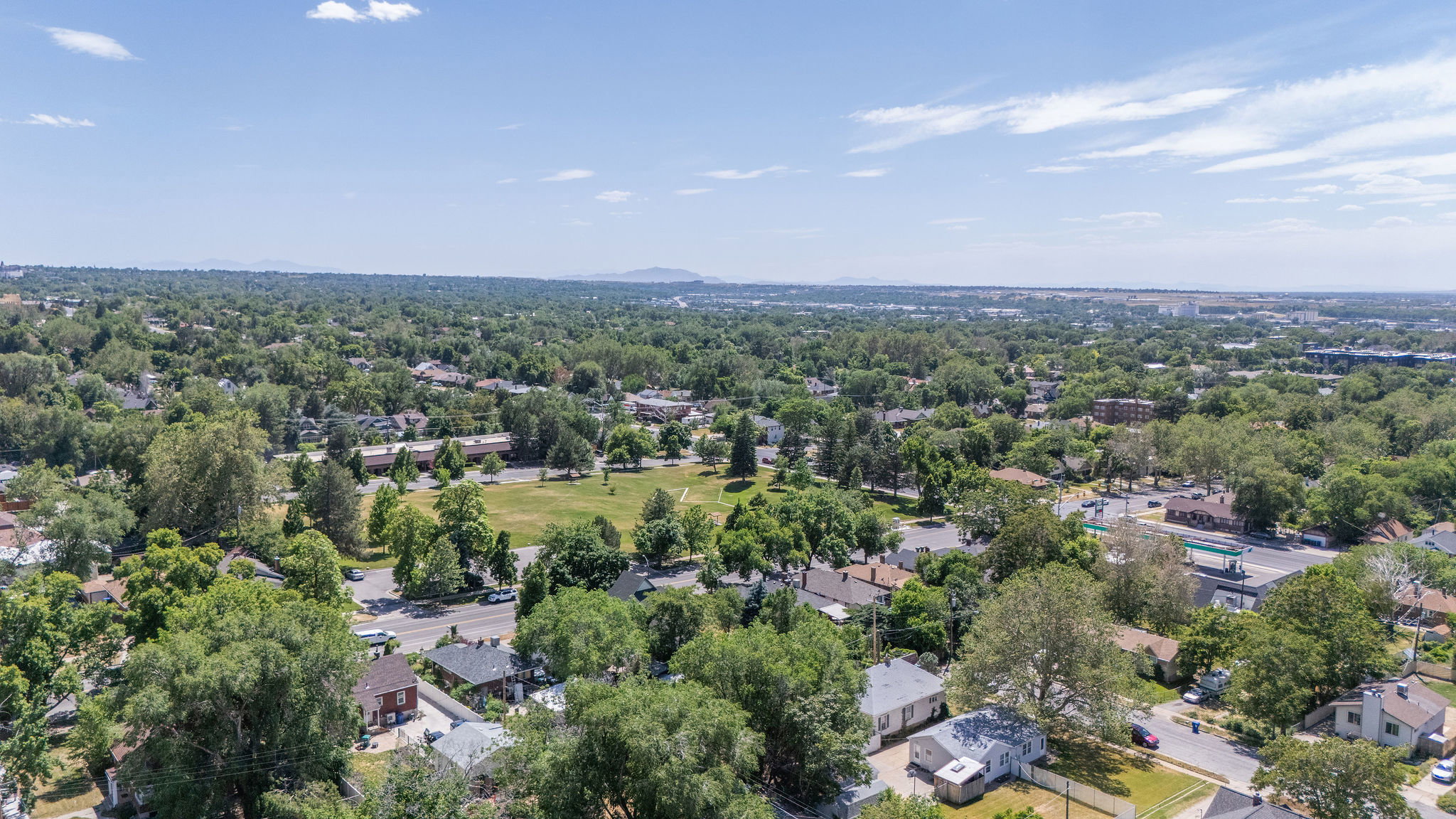 Expansive aerial perspective showcasing a verdant residential landscape with mature trees and a clear sky