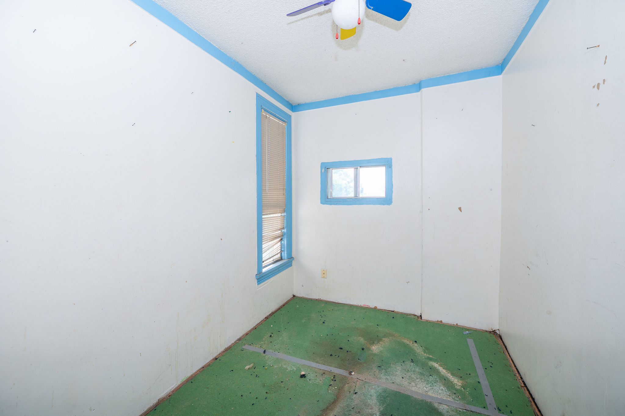 Room featuring a ceiling fan, two windows with blue trim, and light-colored walls