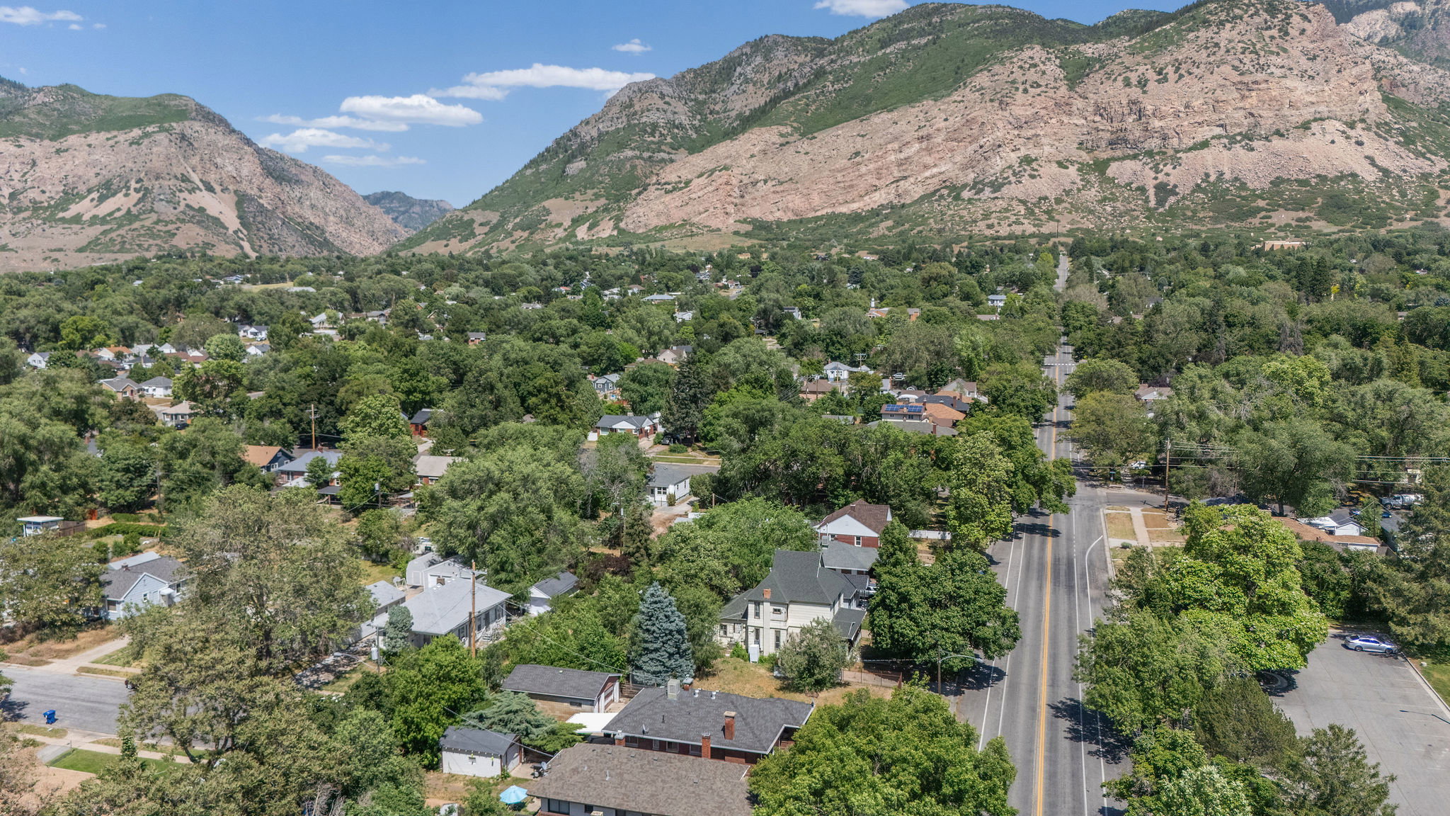 Aerial perspective of a tree-lined residential area framed by distant mountains