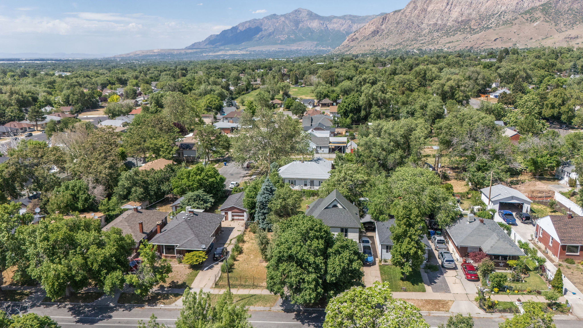 Residential properties surrounded by mature trees with mountain terrain in the background