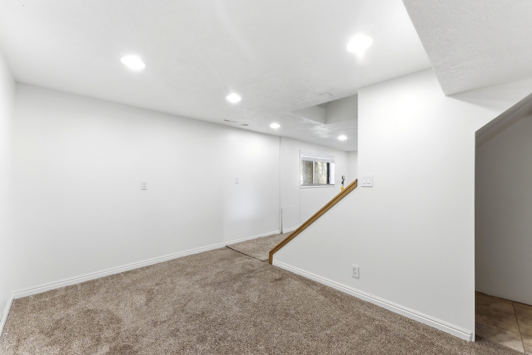 Lower level family room