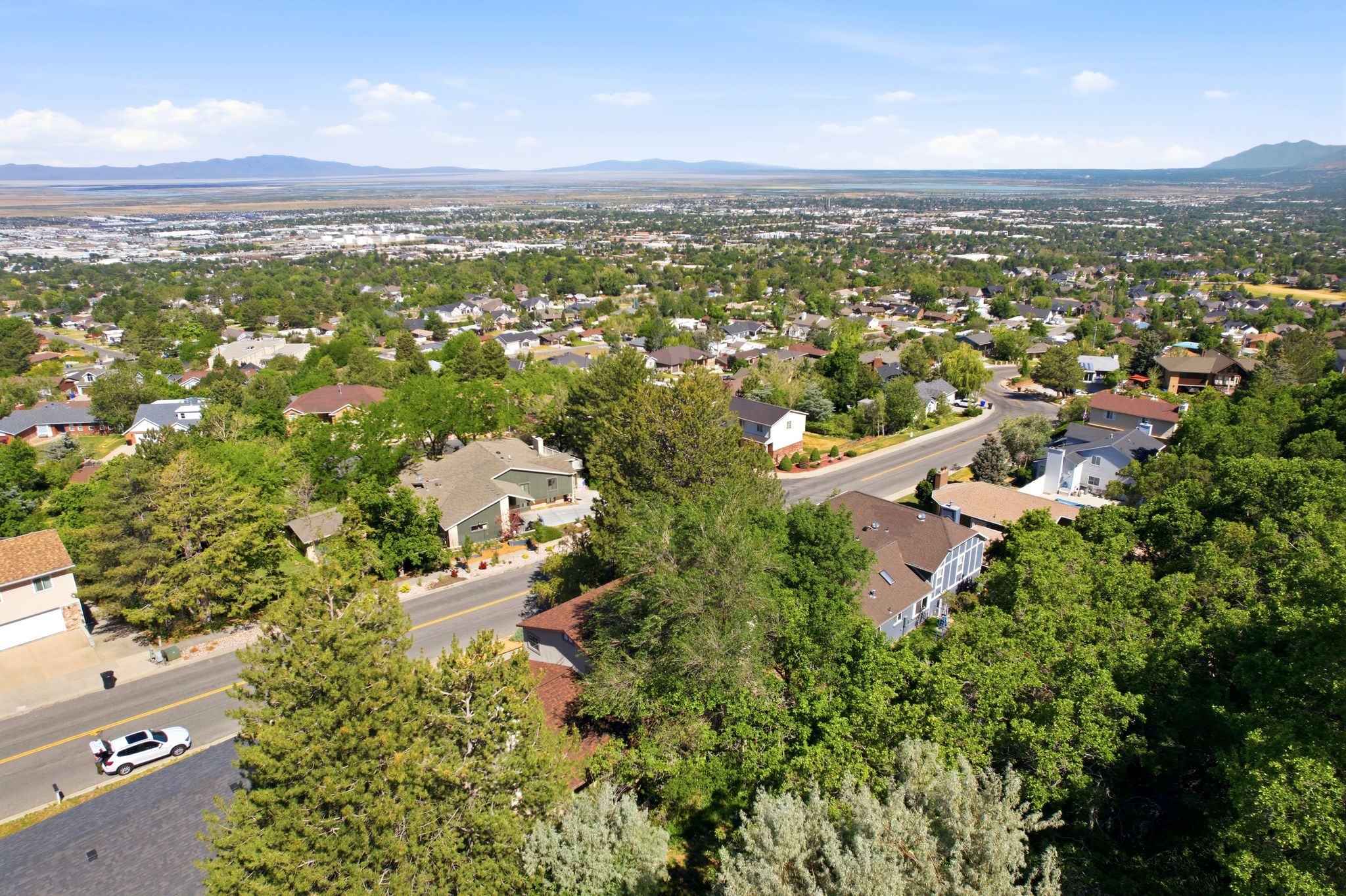 Expansive neighborhood setting with established tree cover and distant mountain ranges