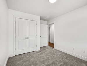 Room featuring textured carpeting, white walls, and white trim
