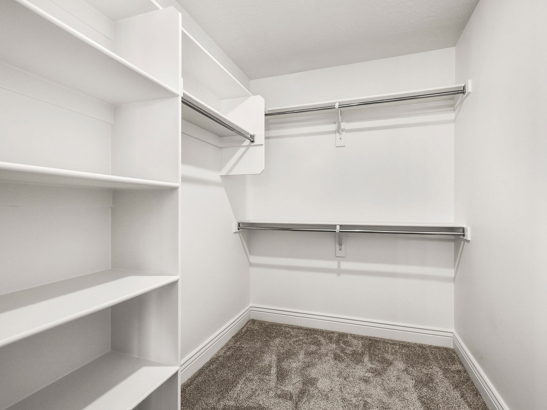 Walk-in closet featuring white built-in shelving, chrome hanging rods, white walls, and gray carpet flooring