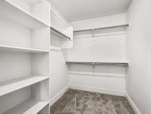 Walk-in closet featuring white built-in shelving, chrome hanging rods, white walls, and gray carpet flooring