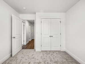 Carpeted room featuring a white paneled door, bi-fold closet doors, white baseboards, and a doorway opening to a hallway with wood-finish flooring
