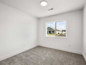Neutral wall paint with carpet flooring, a window, and a ceiling light fixture