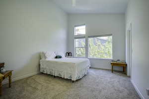 Interior room featuring high ceilings, multiple windows, light-colored walls, and carpeting