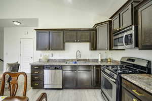 Kitchen featuring dark wood cabinetry, stainless steel appliances, and a light wood-finish flooring