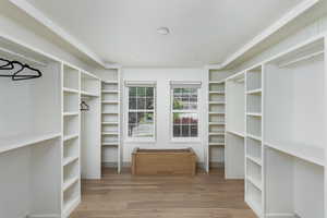 Expansive closet featuring wood-finish flooring, two large windows, white built-in shelving, and integrated hanging rods