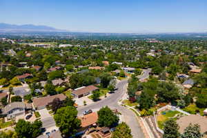 Sprawling residential area with mature tree canopy and winding roads