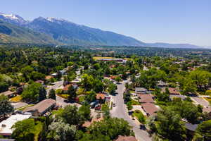 Expansive aerial capturing a suburban neighborhood with mature trees