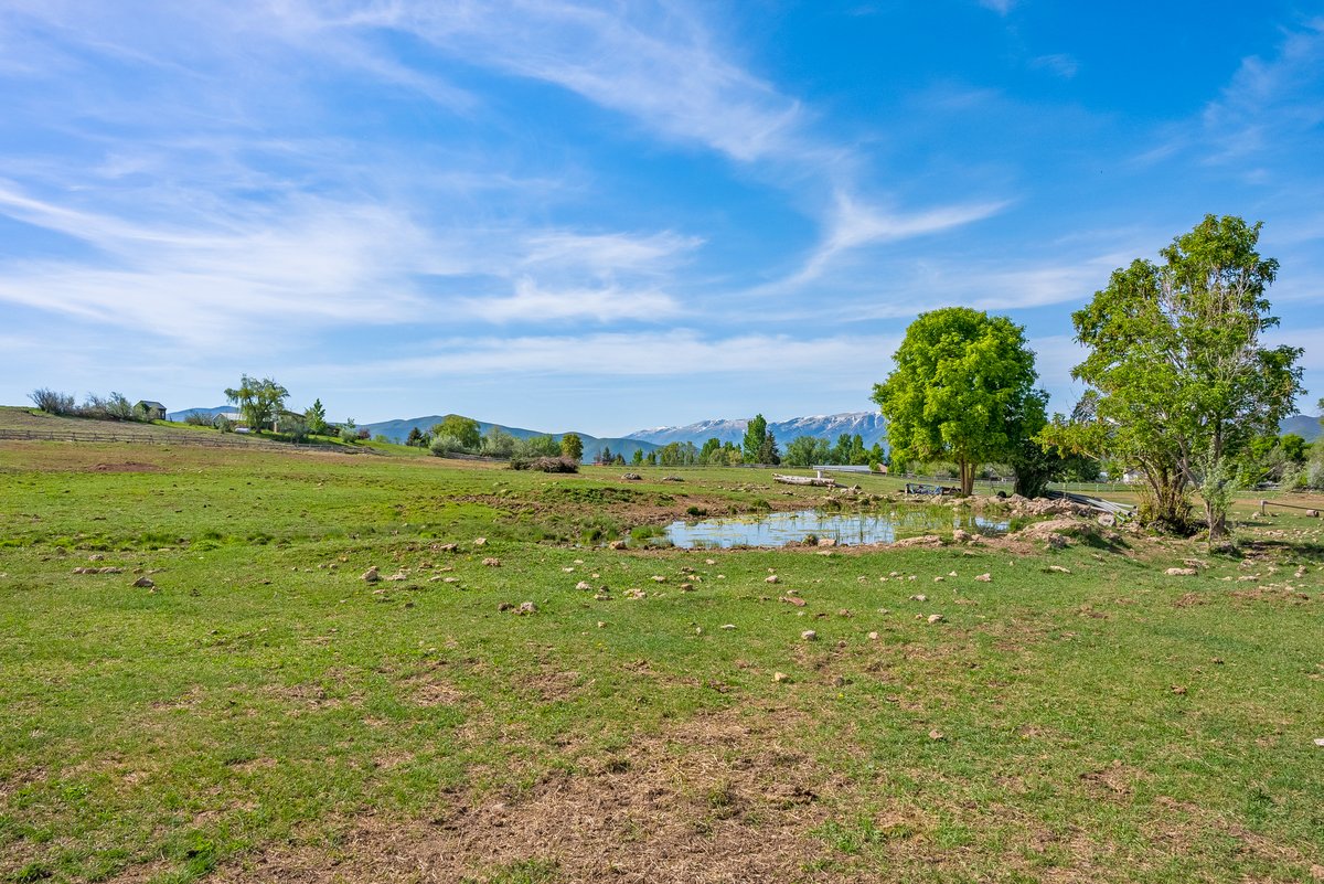 Expansive grassy terrain featuring a natural pond, mature trees, and distant mountains