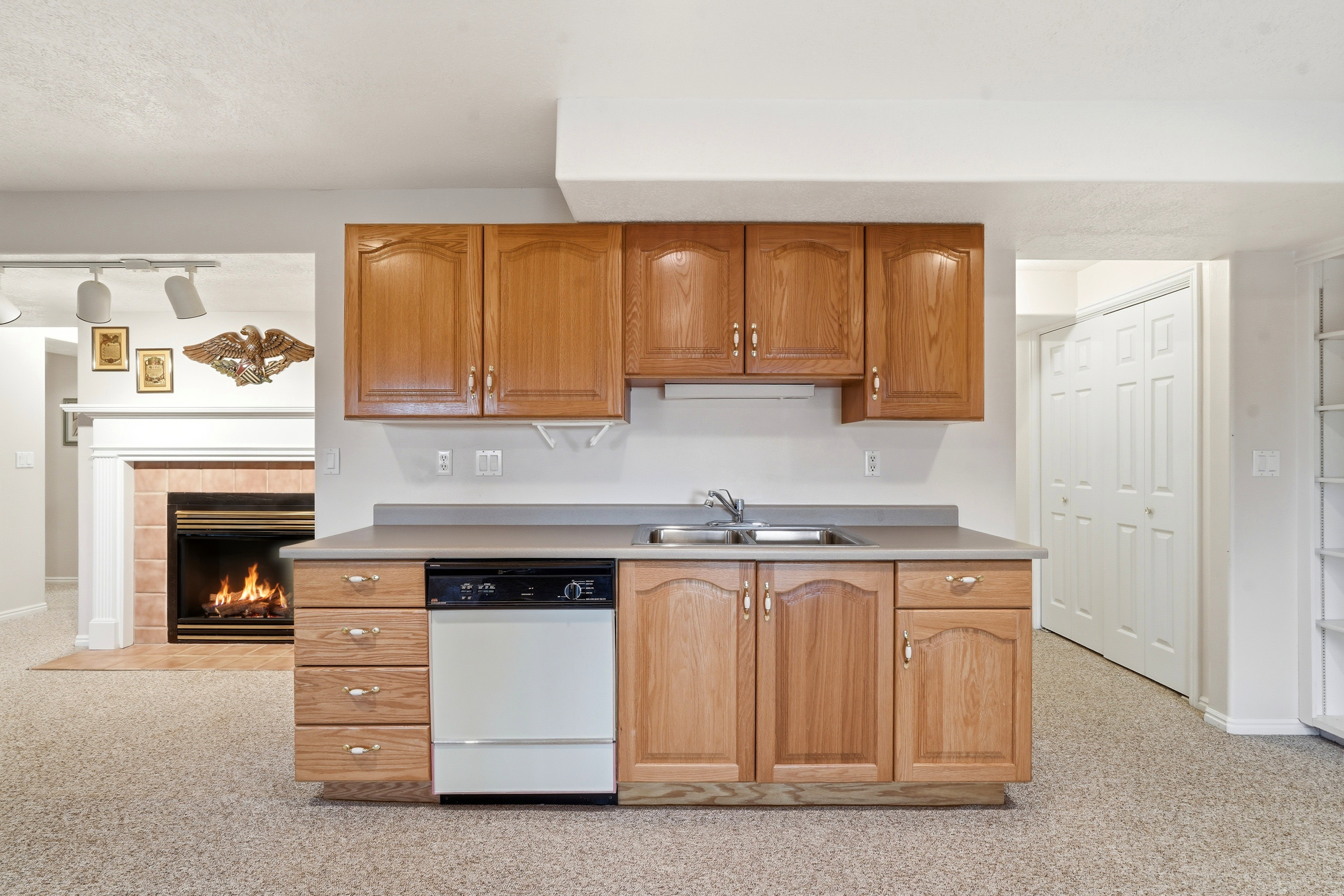 Integrated wet bar featuring wood-finish cabinetry, a built-in dishwasher, and a double basin sink