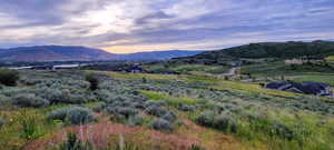 Expansive landscape featuring rolling hills and distant mountains