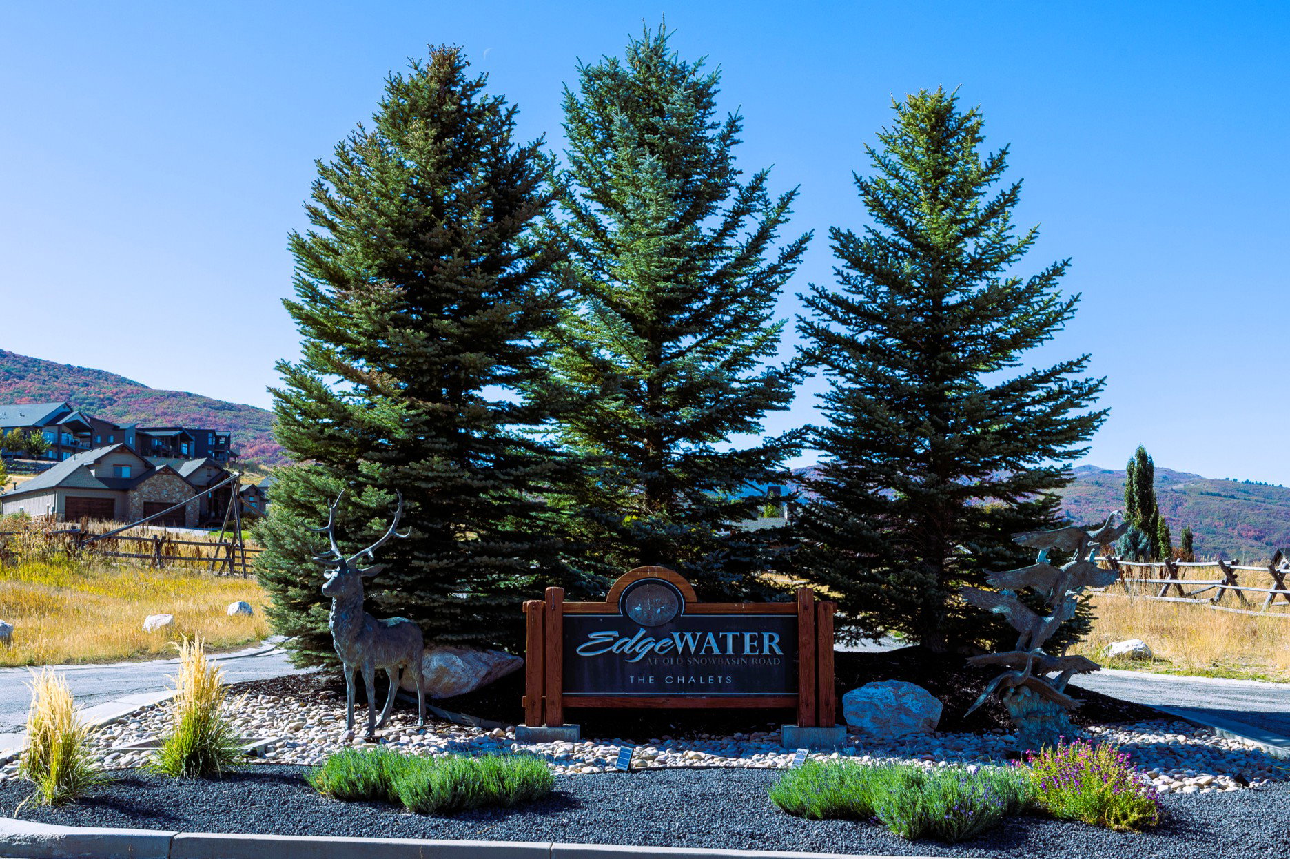 Entryway signage for "Edgewater The Chalets" featuring a wood-frame sign, three mature evergreen trees, decorative rock landscaping, and a deer statue