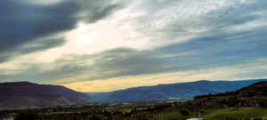 Image quality insufficient for description