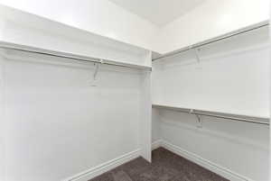 Walk-in closet featuring white painted walls, a textured carpet, multiple chrome hanging rods, and integrated shelving