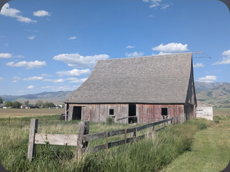 Rustic gambrel-roof barn with faded red siding and multiple openings, surrounded by tall grasses and a wooden fence