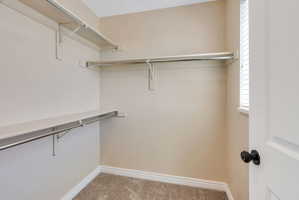 Walk-in closet featuring built-in shelving, hanging rods, neutral tone walls, and carpet flooring