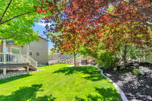 Spacious backyard featuring a manicured lawn, a large deck with white railings, and mature trees providing natural shade